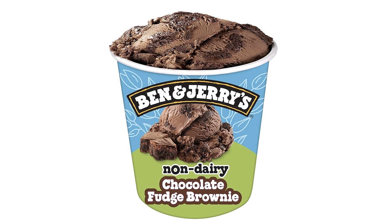 Ben and Jerry’s Non Dairy Chocolate Fudge Brownie 16 oz