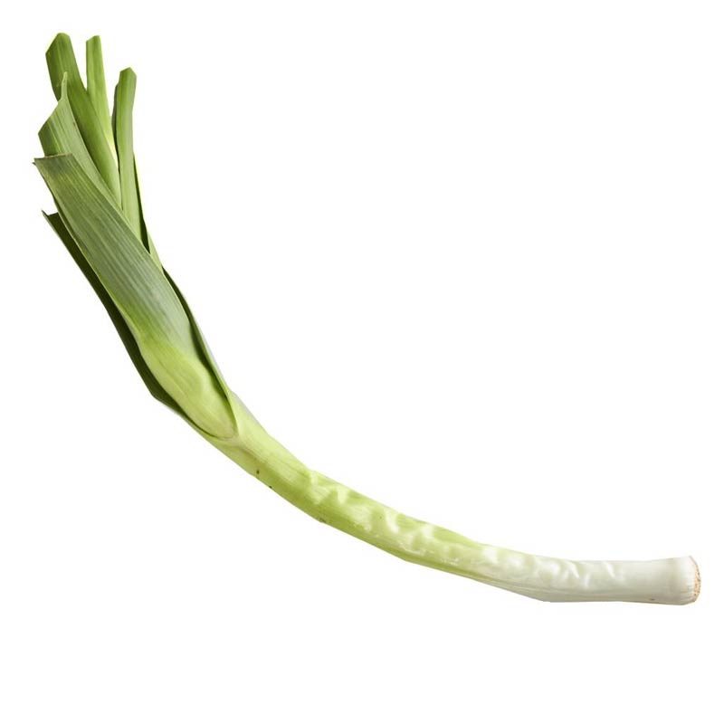 Leek / Ajo Puerro