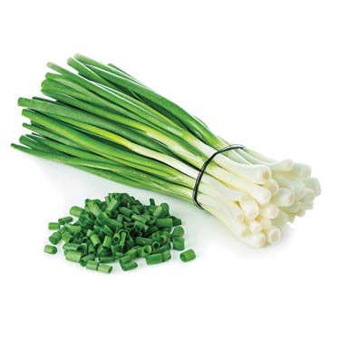 Cebollines / Scallions or Green Onions 0.75 oz