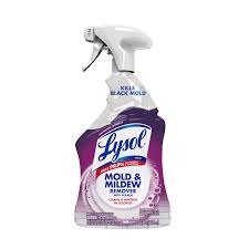 Lysol Mold & Mildew Remover With Bleach 32 oz