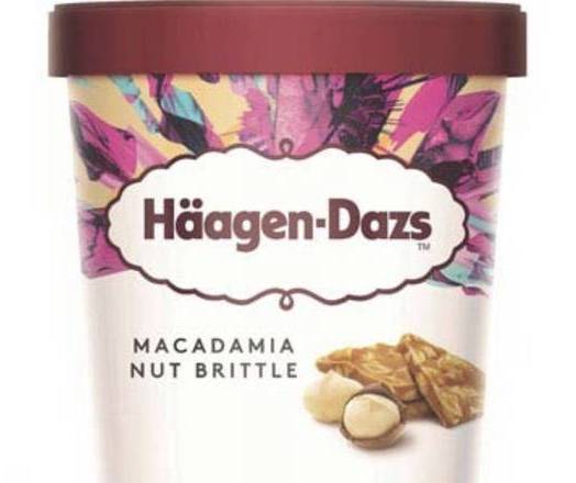 Haagen Dazs Macadamia Brittle Ice Cream 1 pt