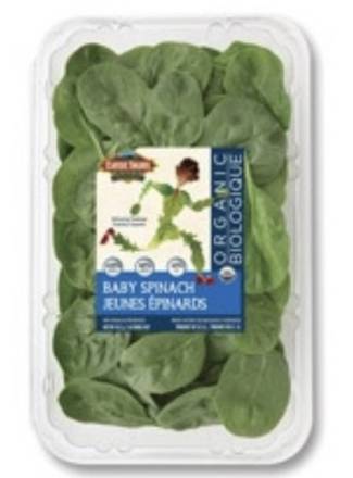 Classic Salads Organic Baby Spinach 10 oz