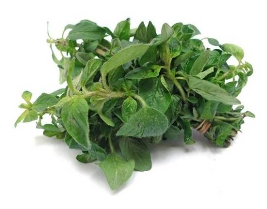 Orégano Griego / Greek Oregano .75 oz