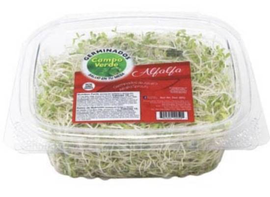 Germinados Campo Juliana Alfalfa