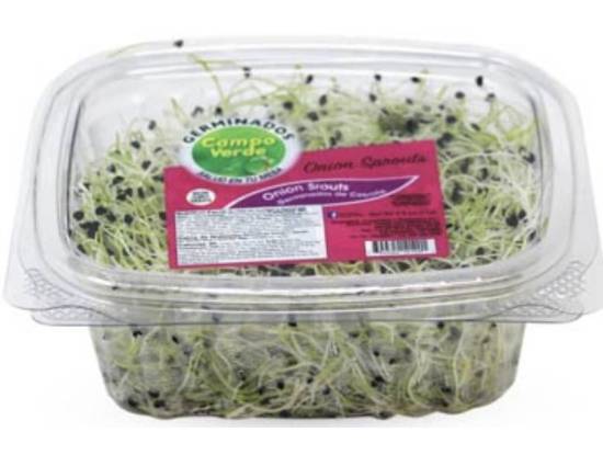Germinados Campo Juliana Onion Sprouts