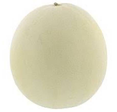 Honeydew Melon