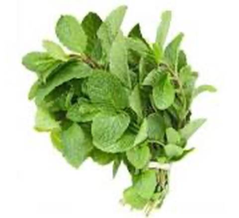 Menta Fresca  / Fresh Mint 2 oz