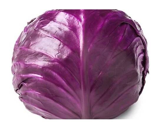 Repollo Rojo / Red Cabbage