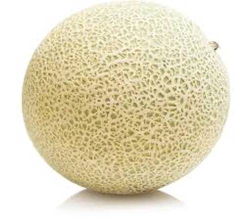 Canteloupe Melon