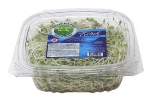 Germinados Campo Verde Trébol / Clover