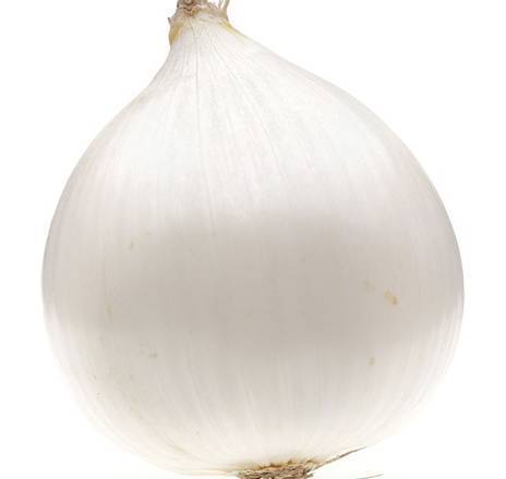 White Onion (Jumbo) / Cebolla Blanca