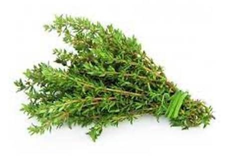 Fresh Thyme / Tomillo Fresco 2 oz