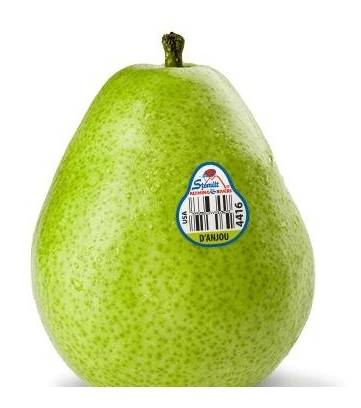 D’Anjou Pear