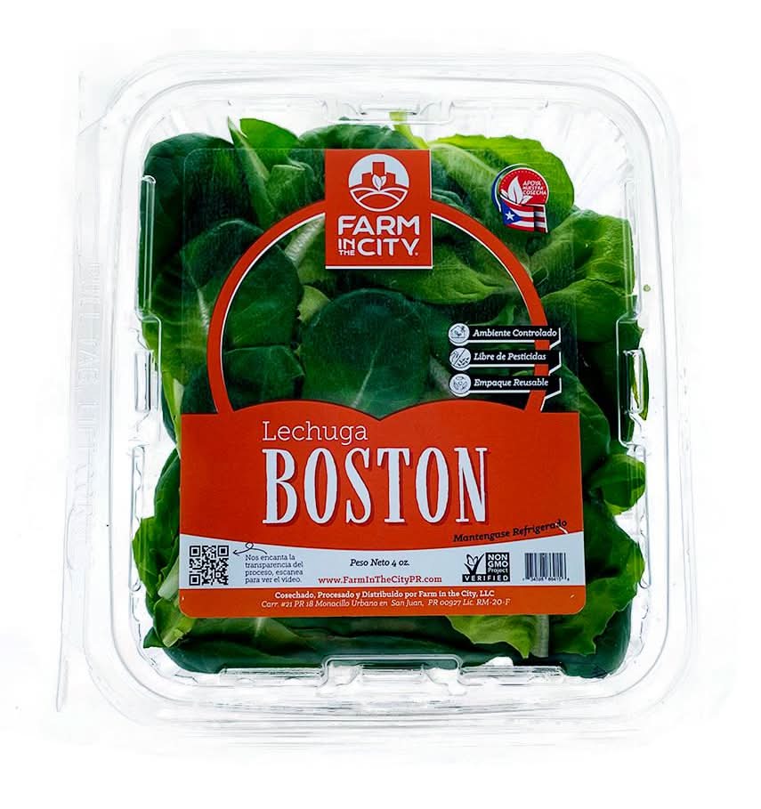Farm in the City Lechuga Boston 4 oz