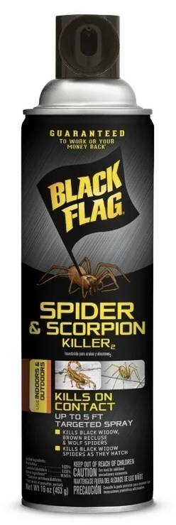 Black Flag Spider & Scorpion Killer 16 oz