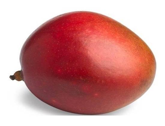 Mango Variedad Keitt 