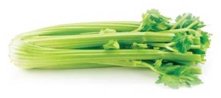 Celery / Apio