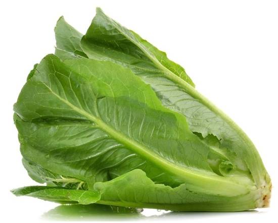 Romaine Lettuce / Lechuga Romana 1 ct