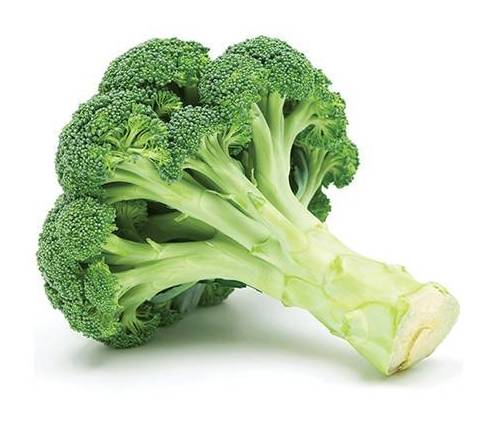 Broccoli / Brécol