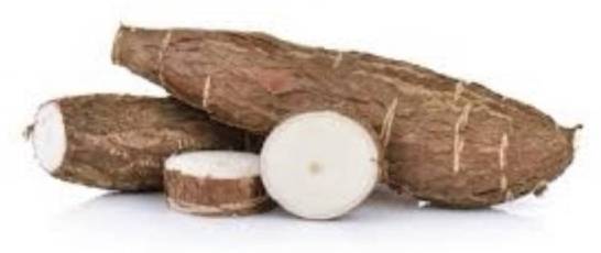 Yuca / Cassava