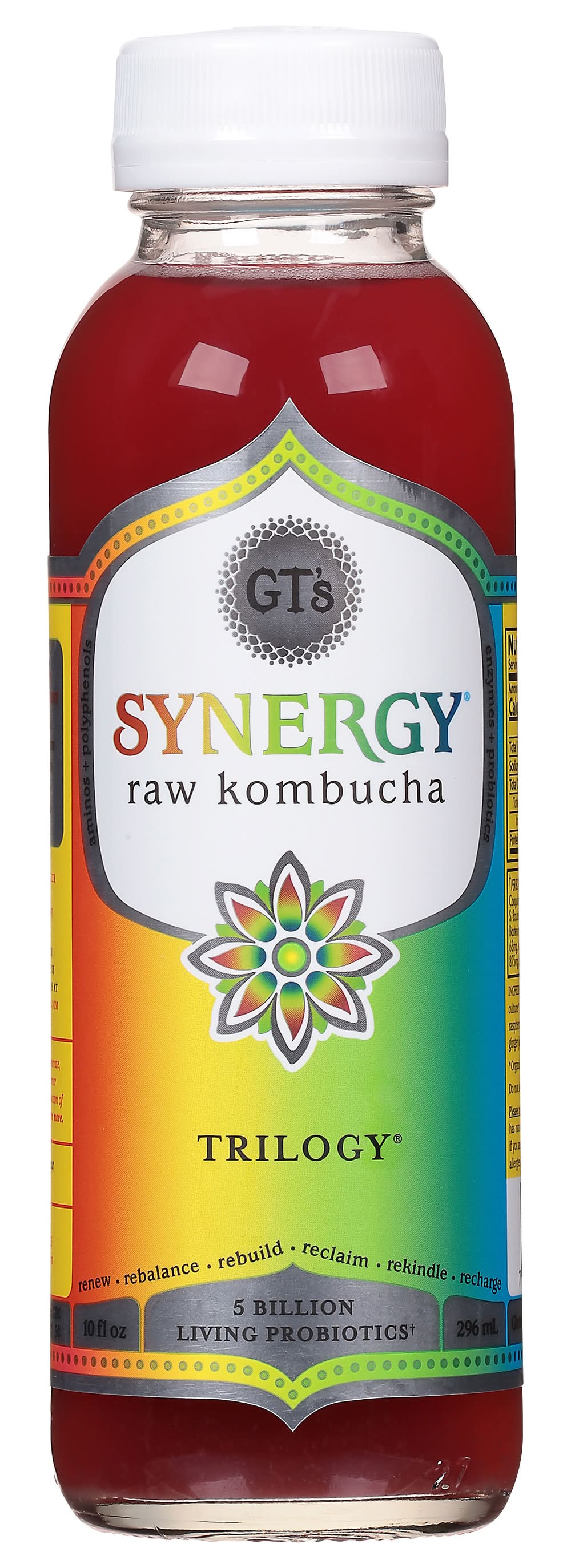 Synergy Raw Kombucha Trilogy 16 oz 