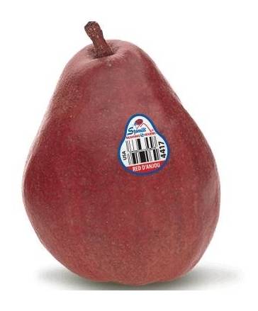 Red D’Anjou Pear