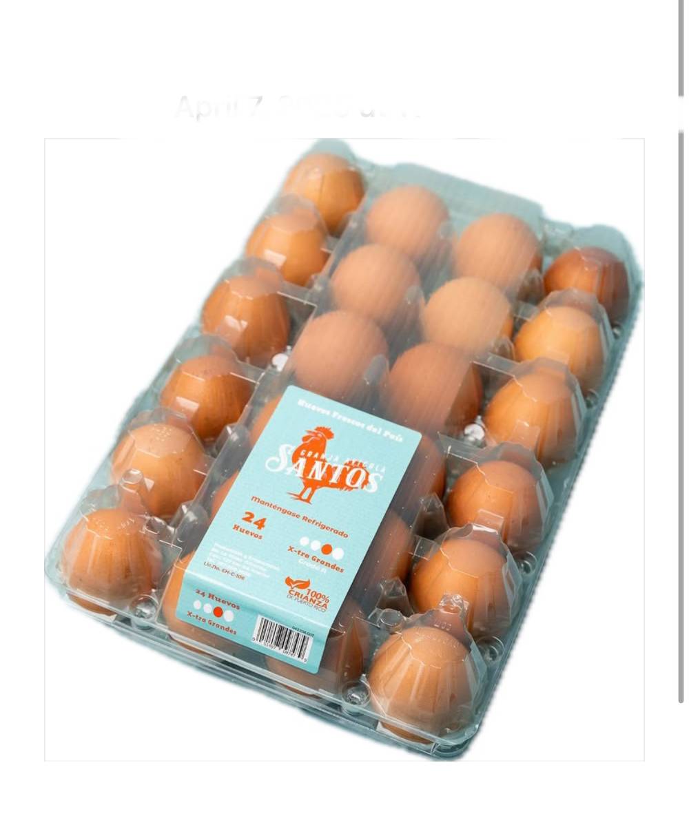 Granja Avicola Santos Huevos Extra Grandes 24 ct
