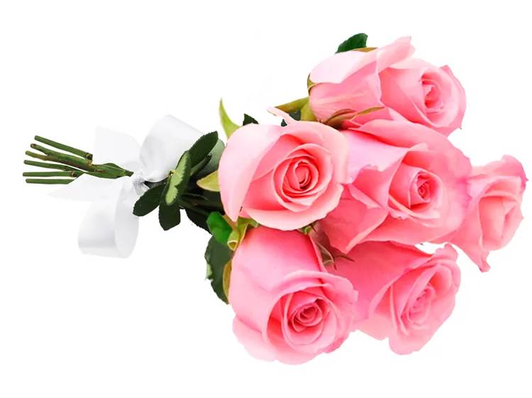 Bouquet Seis Rosas Rosadas