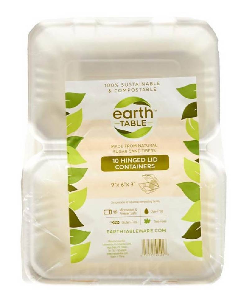 Earth Table Hinged Lid Containers 9x6x3 10 ct
