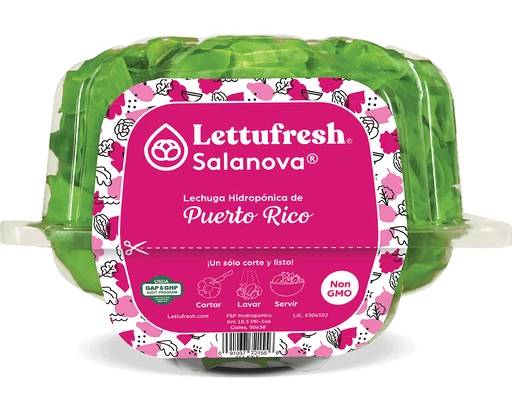 Lettufresh Salanova 8 oz