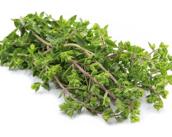 Marjoram / Mejorana 2 oz