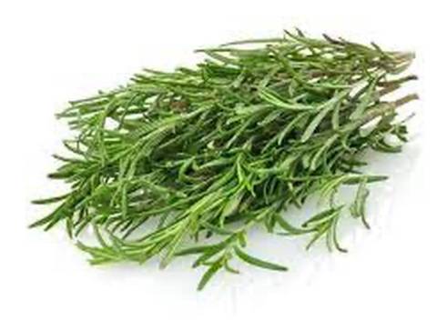 Fresh Rosemary / Romero Fresco 2 oz