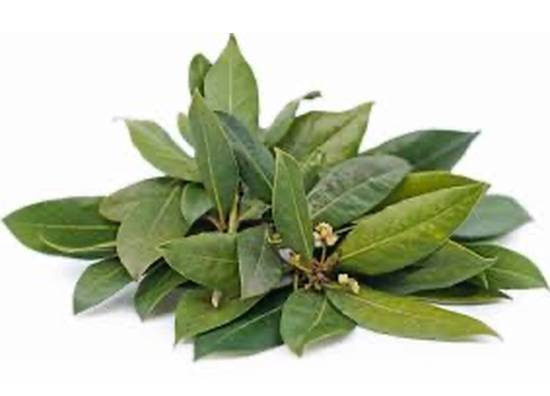 Fresh Bay Leaves / Laurel Fresco 2 oz