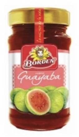 Borden Jalea de Guayaba 9.2 oz.