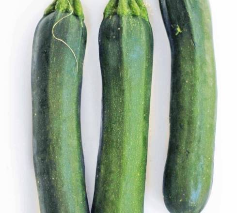 Zucchini / Calabacín Verde