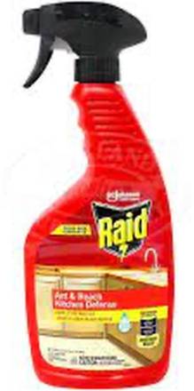 Raid Ant & Roach Kitchen 22 oz