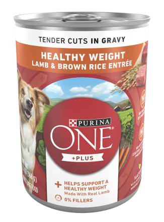 Purina One Lamb & Brown Rice Tender Cuts 13 oz