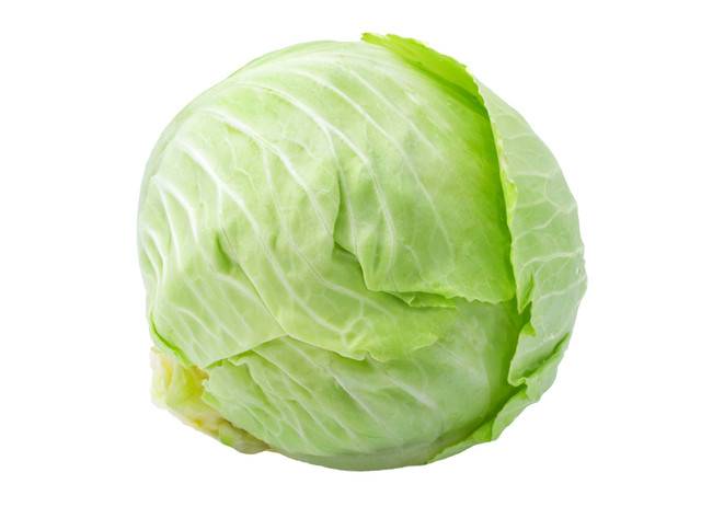 Repollo / Green Cabbage