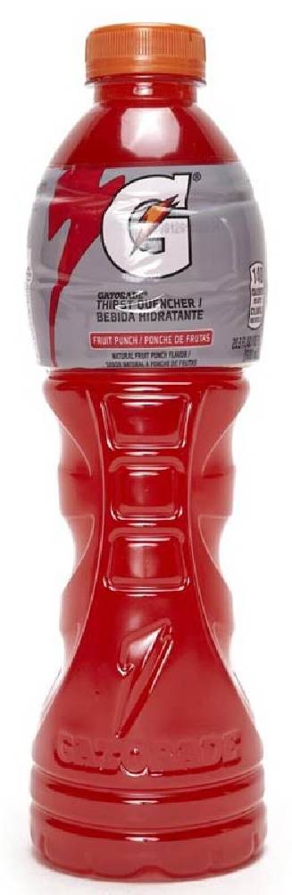 Gatorade Fruit Punch 20.3 oz