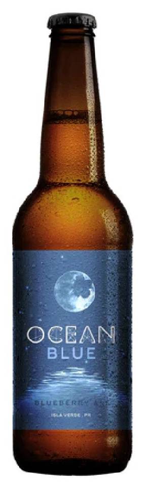 Ocean Lab Blueberry Ale 12 oz