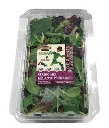 Classic Salads Organic Spring Mix 10 oz