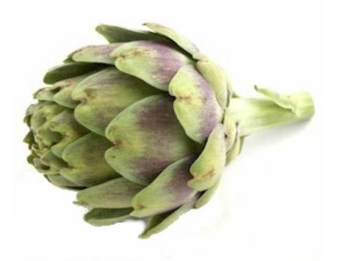 Artichoke / Alcachofa