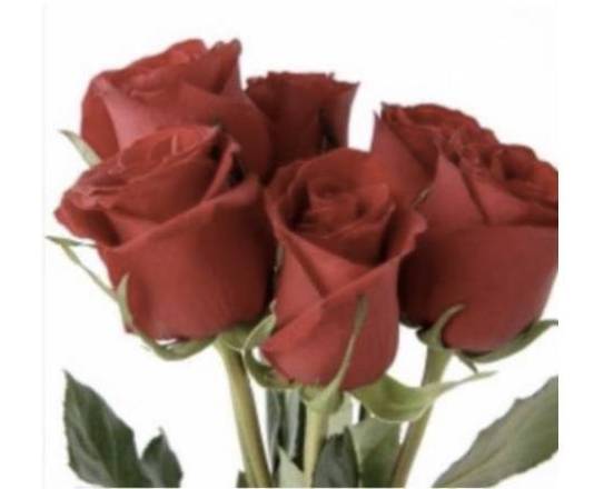 Bouquet Seis Rosas Rojas