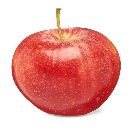 Gala Apple