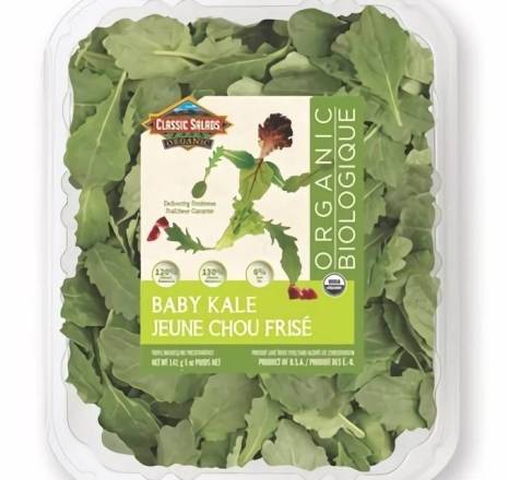 Classic Salads Organic Baby Kale 5 oz