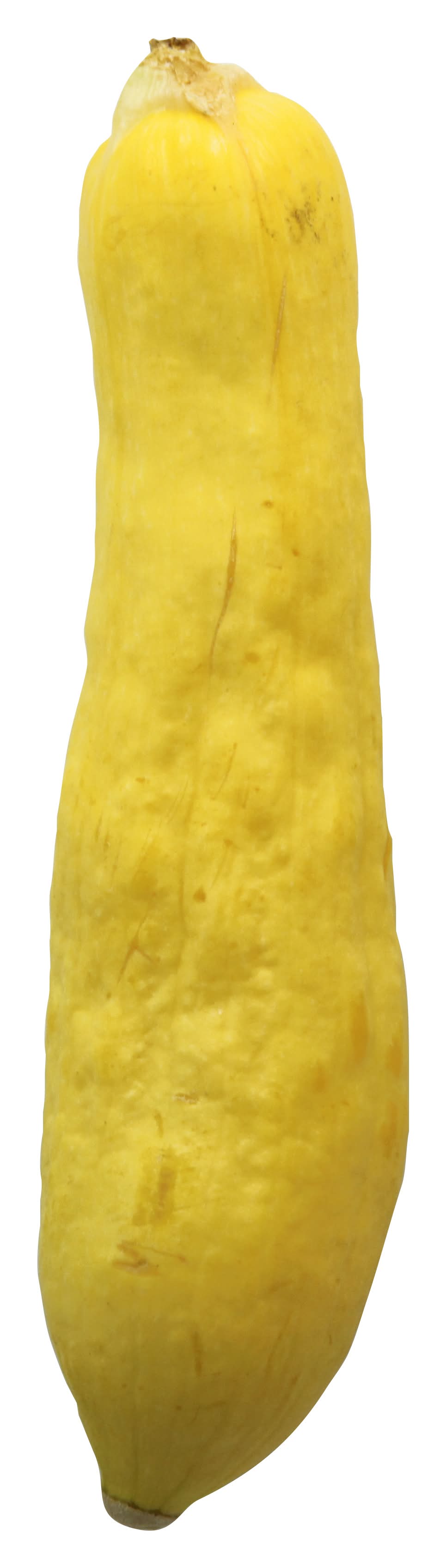 Yellow Squash / Calabacín