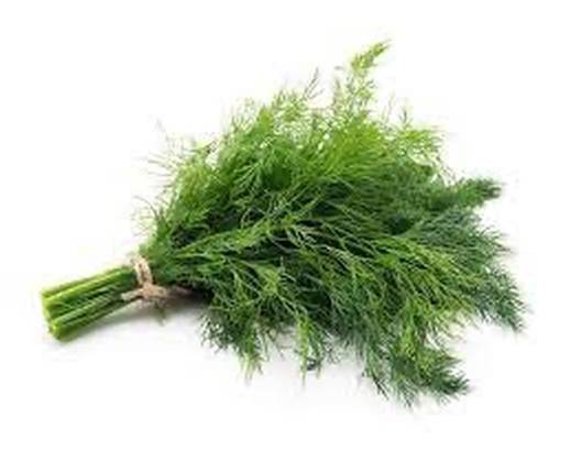 Fresh Dill / Eneldo Fresco 2 oz