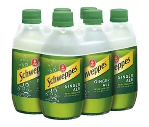 Schweppes Ginger Ale 6-10 oz