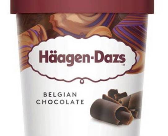 Haagen Dazs Belgian Chocolate Ice Cream 1 pt