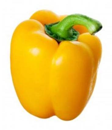 Pimiento Amarillo / Yellow Pepper